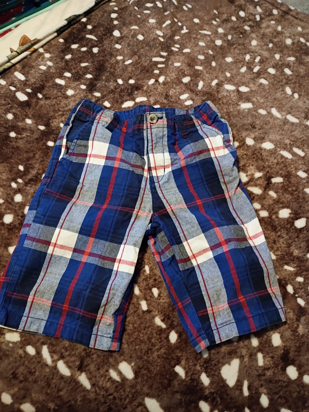 Crazy 8 Plaid Pull-On Shorts in Blue Red White
